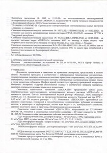 Экспертное заключение - Дискалер - Страница 2