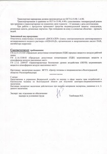 Экспертное заключение - Дискалер - Страница 2